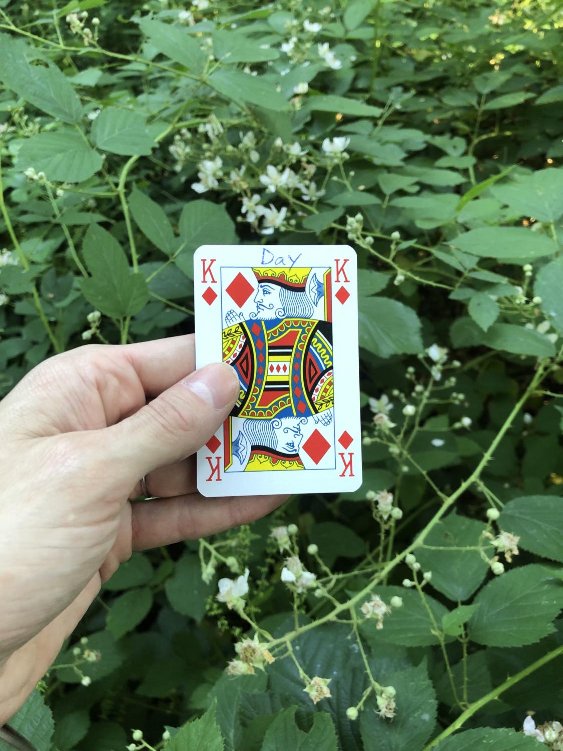 The king of diamonds with the word Day written on it, held above the flowers.