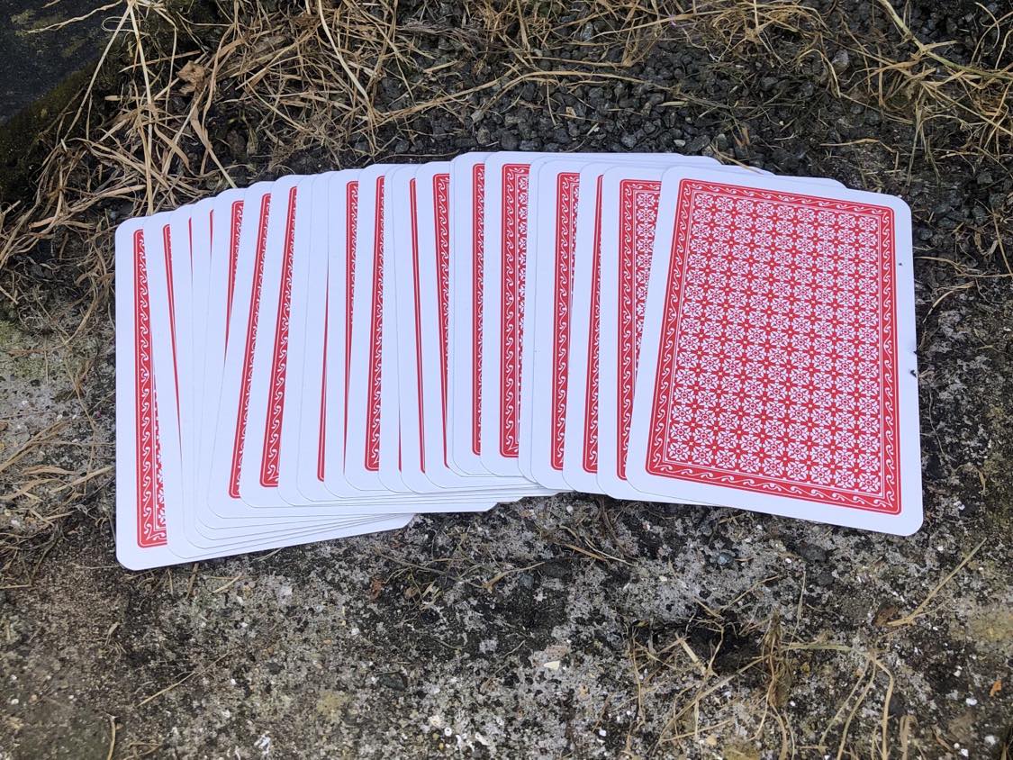 The cards are laid out on the concrete, dry grass and soil around, waiting to be drawn.