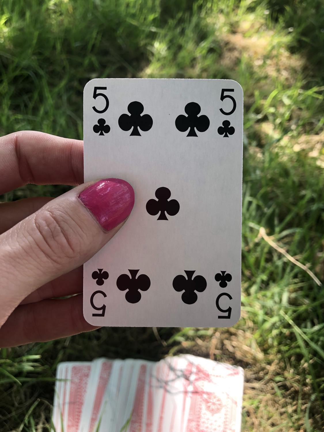 The five of clubs, held up from the drawn out cards.