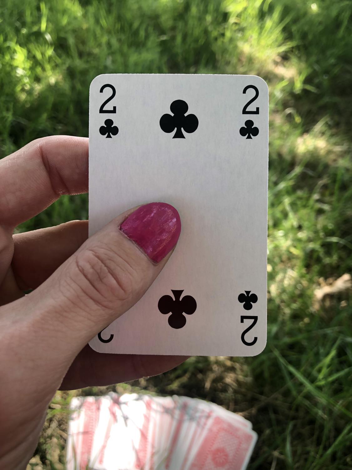 The two of clubs, held up from the drawn out cards.