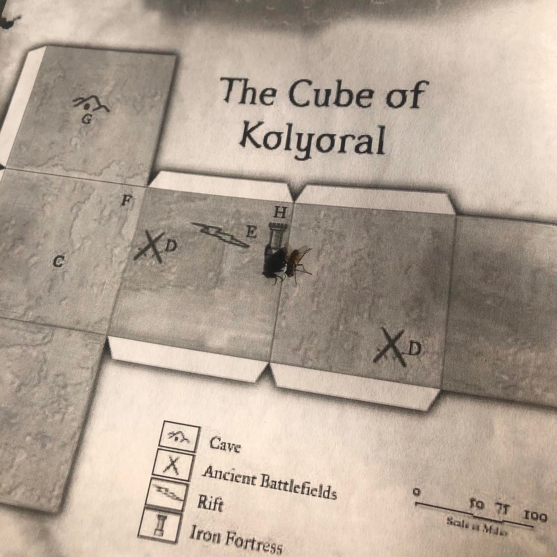 A clip of the map from the book, with a fly seemingly guarding the iron fortress on it.