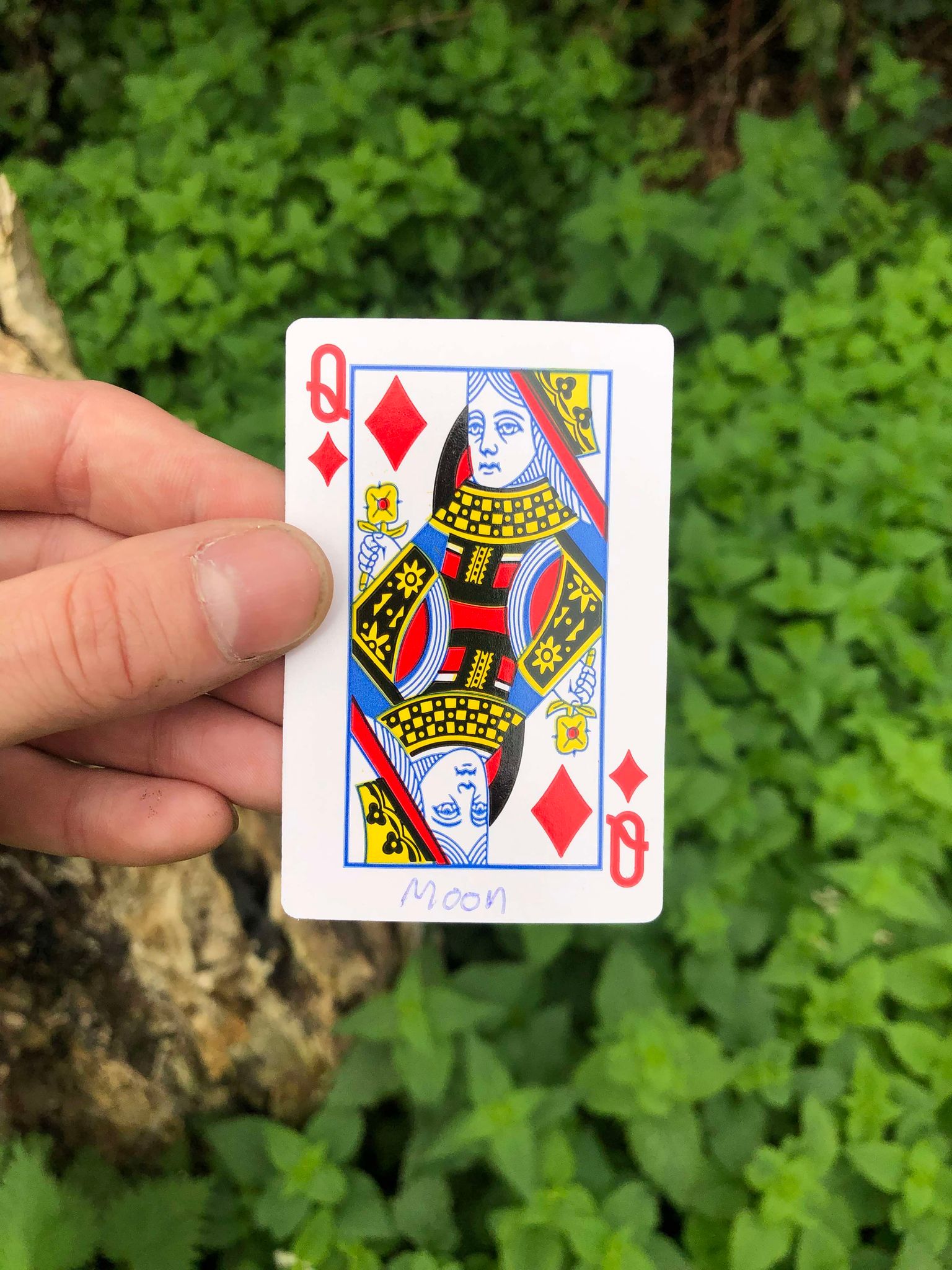 Holding up the card, the stump and foliage visible behind it, your fate is sealed.