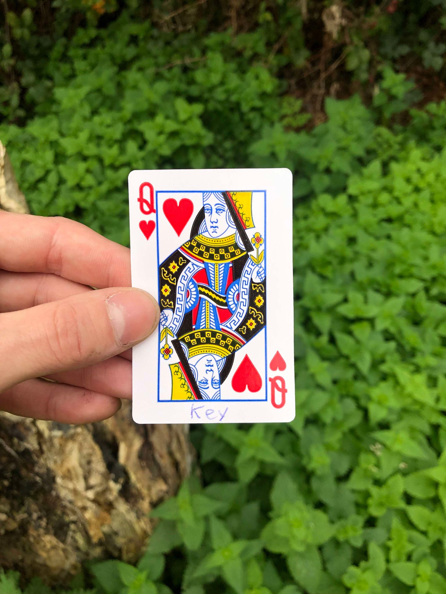 Holding up the card, the stump and foliage visible behind it, your fate is sealed.