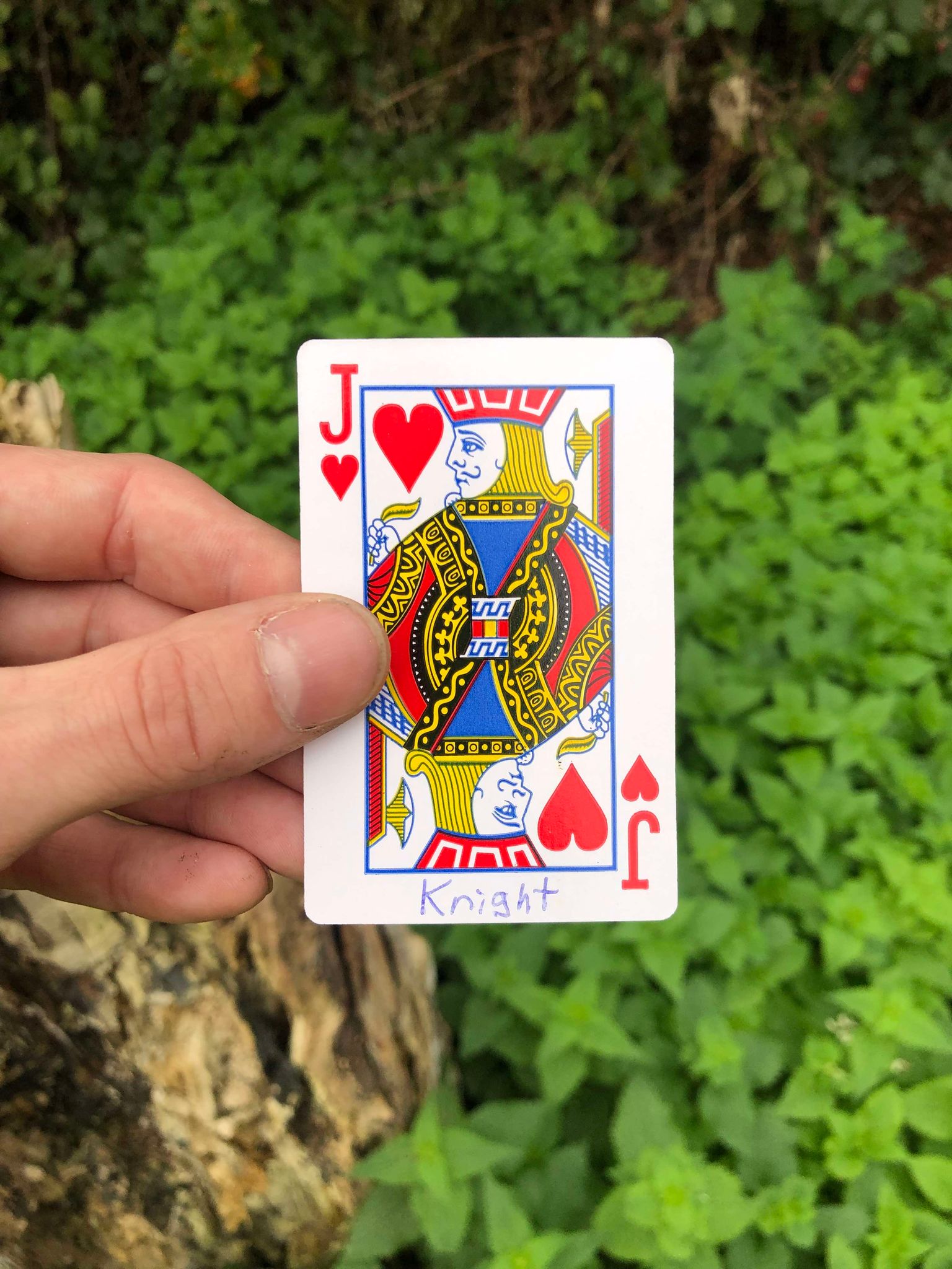 Holding up the card, the stump and foliage visible behind it, your fate is sealed.