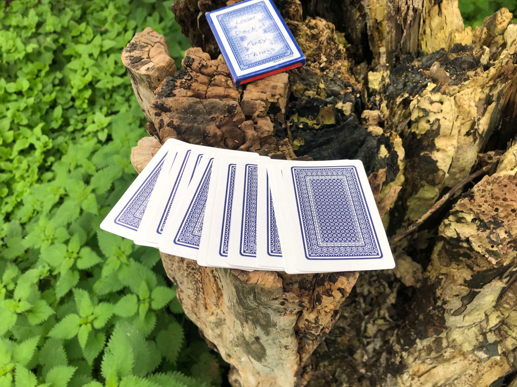 The lesser Deck of Many Things, a less harmful, yet less rewarding version of the deck. Found inside a stump, you've spread out the cards on top, wondering if you should draw one.