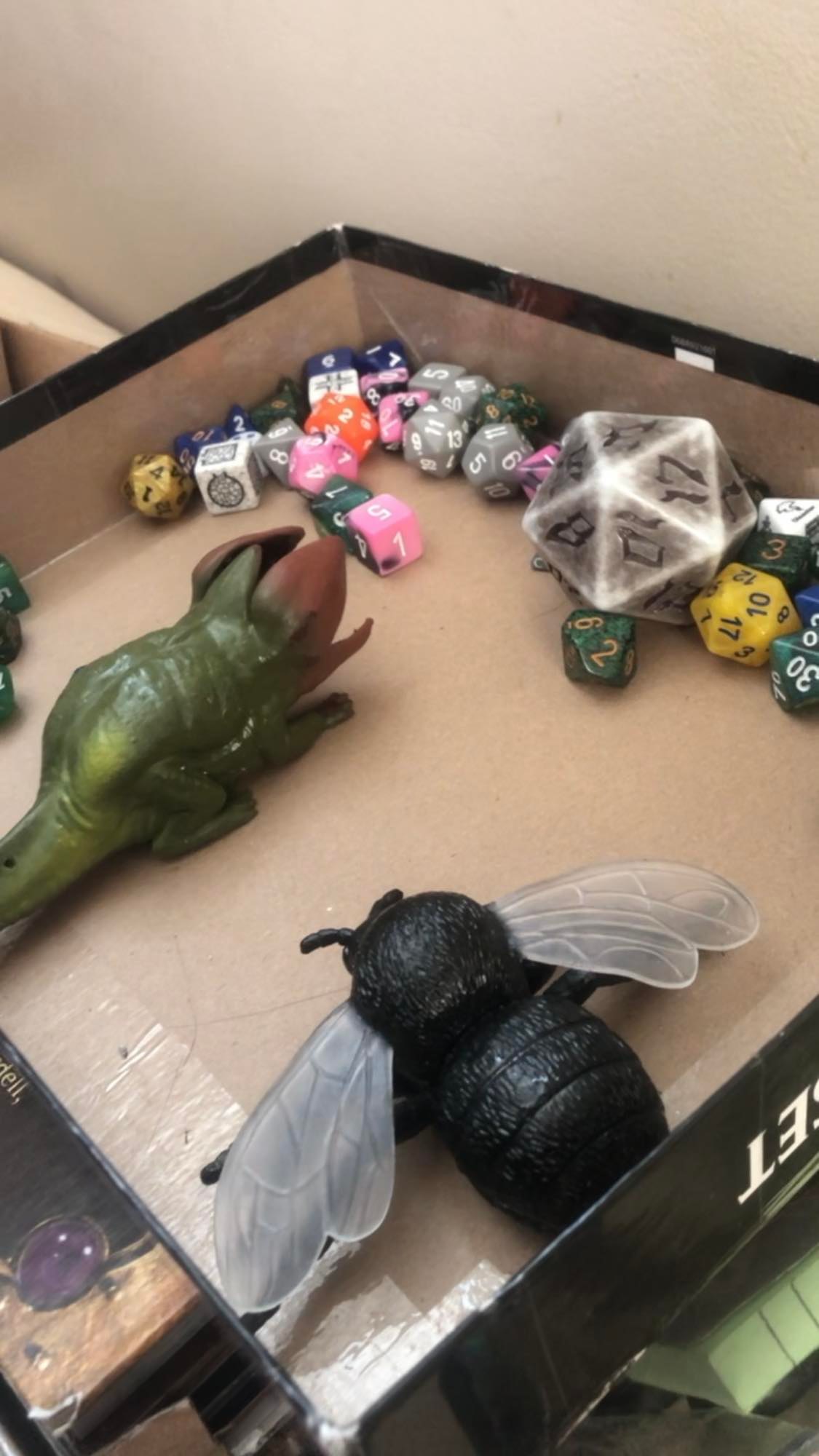Lotus, the demodog, or baby demogorgon, standing near the delicious looking dice, and Simon, the giant housefly, sitting nearby, watching and guarding the dice box