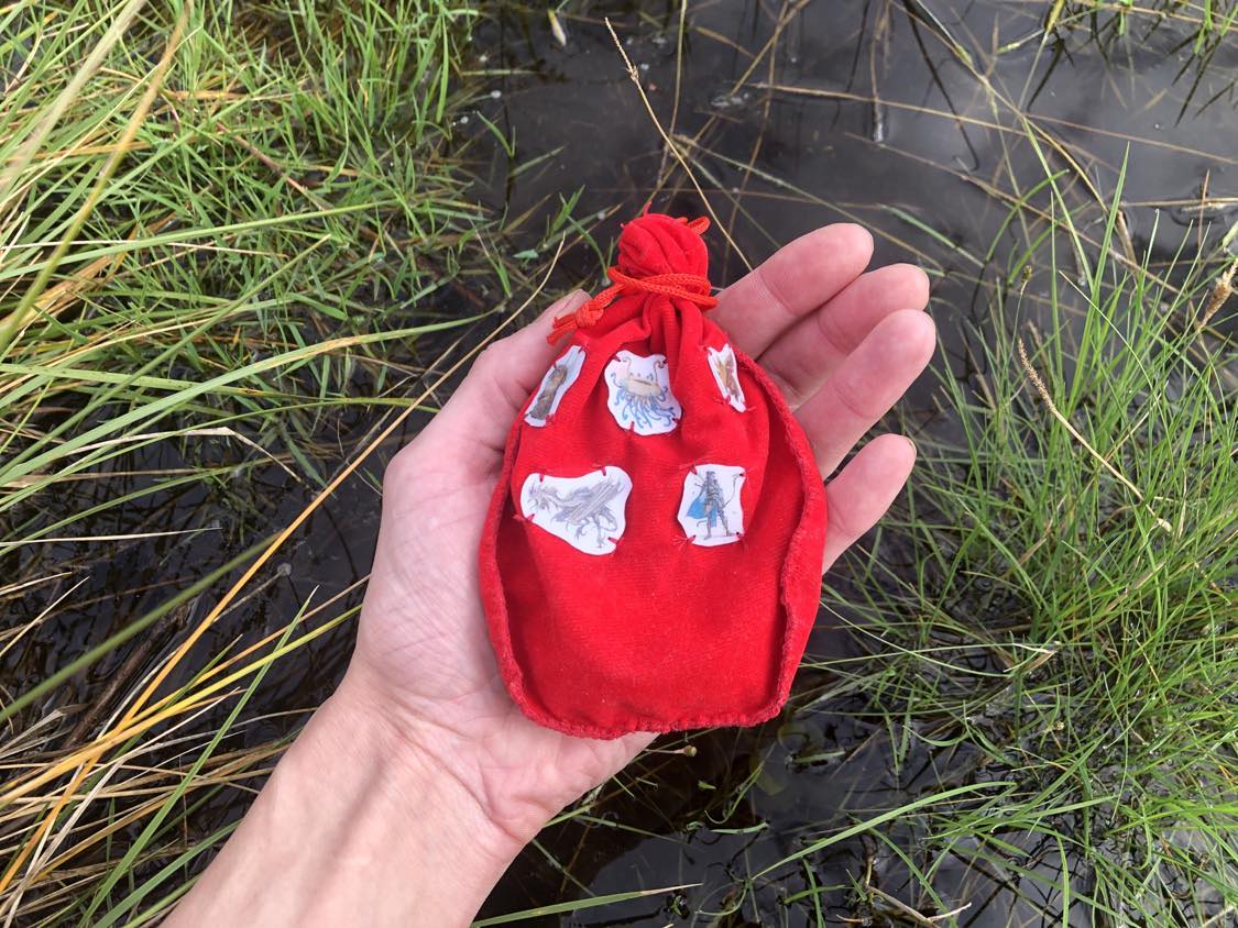 A red pouch stitched with images of whimsical creatures and heroes, containing odd and differently shaped items, pulled from a grassy pond below. Could this be the Teeth of Dahlver-Nar.