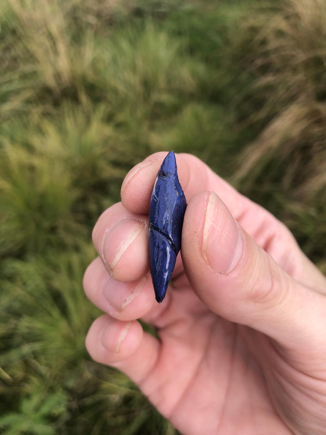 A cloudy blue oni fang